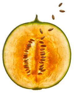 melon bio