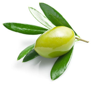 huile d'olive bio
