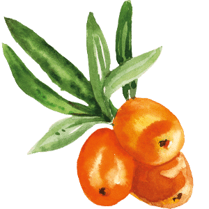 Organic Sea Buckthorn