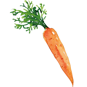 Organic Carrot