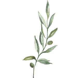 Olive BIO