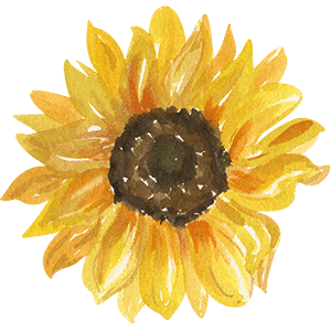 Organic sunflower