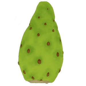 Organic Prickly pear