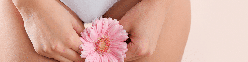 BLOGIMG_TOILETTEINTIME2 femme en culotte qui tient une fleur