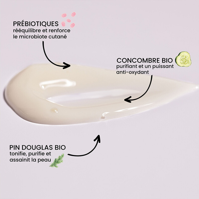 Mattifying moisturizing cream composition